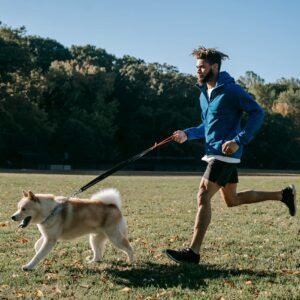 Young man jogging with Akita Inu dog on leash in a sunny park, embodying an active and healthy lifestyle.