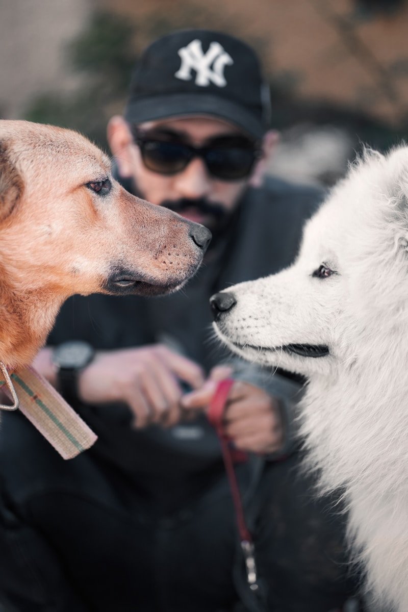 adiestrador de perros Barcelona